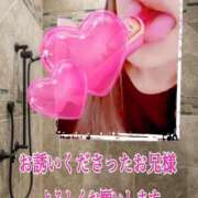 ヒメ日記 2026/03/18 19:00 投稿 あん プロローグ-序章-浜松店