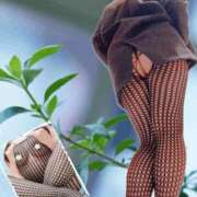 ヒメ日記 2026/04/08 11:30 投稿 あん プロローグ-序章-浜松店