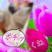 ヒメ日記 2026/04/13 16:50 投稿 あん プロローグ-序章-浜松店