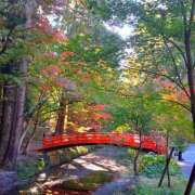 ヒメ日記 2025/11/22 20:09 投稿 ののか プロローグ-序章-浜松店