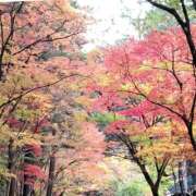 ヒメ日記 2025/11/25 21:35 投稿 ののか プロローグ-序章-浜松店