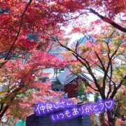 ののか ありがとうございました プロローグ-序章-浜松店