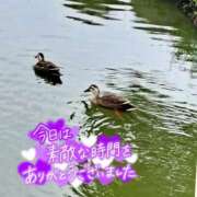 ヒメ日記 2025/12/23 17:41 投稿 ののか プロローグ-序章-浜松店