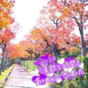 ヒメ日記 2025/12/26 22:16 投稿 ののか プロローグ-序章-浜松店