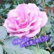 ヒメ日記 2026/01/11 18:21 投稿 ののか プロローグ-序章-浜松店