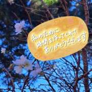 ヒメ日記 2026/01/26 20:42 投稿 ののか プロローグ-序章-浜松店