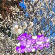 ヒメ日記 2026/02/04 16:52 投稿 ののか プロローグ-序章-浜松店