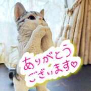 ヒメ日記 2026/02/08 21:29 投稿 ののか プロローグ-序章-浜松店