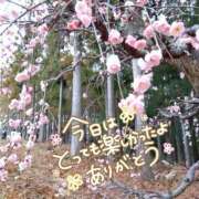 ヒメ日記 2026/02/10 21:28 投稿 ののか プロローグ-序章-浜松店