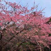 ヒメ日記 2026/02/21 20:07 投稿 ののか プロローグ-序章-浜松店