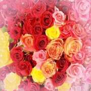 ヒメ日記 2026/02/23 21:45 投稿 ののか プロローグ-序章-浜松店