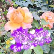 ヒメ日記 2026/02/25 22:15 投稿 ののか プロローグ-序章-浜松店