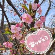 ヒメ日記 2026/02/27 15:54 投稿 ののか プロローグ-序章-浜松店