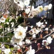 ヒメ日記 2026/03/03 17:24 投稿 ののか プロローグ-序章-浜松店