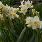 ヒメ日記 2026/03/04 20:58 投稿 ののか プロローグ-序章-浜松店