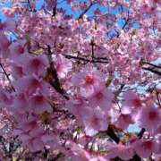 ヒメ日記 2026/03/05 19:04 投稿 ののか プロローグ-序章-浜松店