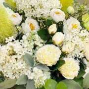 ヒメ日記 2026/03/08 13:18 投稿 ののか プロローグ-序章-浜松店