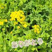 ヒメ日記 2026/03/09 13:13 投稿 ののか プロローグ-序章-浜松店