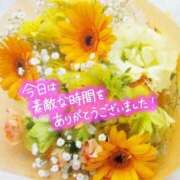 ヒメ日記 2026/03/13 18:01 投稿 ののか プロローグ-序章-浜松店