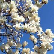 ヒメ日記 2026/03/14 20:07 投稿 ののか プロローグ-序章-浜松店