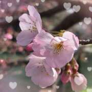 ヒメ日記 2026/03/17 21:22 投稿 ののか プロローグ-序章-浜松店