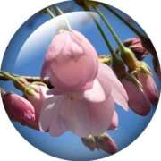 ヒメ日記 2026/03/21 17:29 投稿 ののか プロローグ-序章-浜松店