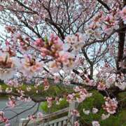 ヒメ日記 2026/03/25 20:52 投稿 ののか プロローグ-序章-浜松店