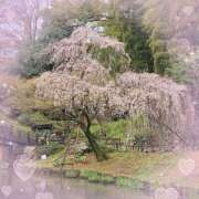 ヒメ日記 2026/03/27 13:43 投稿 ののか プロローグ-序章-浜松店