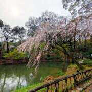 ヒメ日記 2026/03/27 20:49 投稿 ののか プロローグ-序章-浜松店