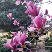 ヒメ日記 2026/03/29 16:54 投稿 ののか プロローグ-序章-浜松店