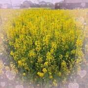 ヒメ日記 2026/03/31 19:45 投稿 ののか プロローグ-序章-浜松店