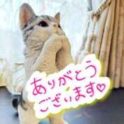 ヒメ日記 2026/04/08 21:29 投稿 ののか プロローグ-序章-浜松店