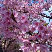 ヒメ日記 2026/04/15 18:22 投稿 ののか プロローグ-序章-浜松店