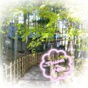 ヒメ日記 2026/04/17 16:43 投稿 ののか プロローグ-序章-浜松店