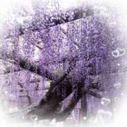 ヒメ日記 2026/04/20 20:20 投稿 ののか プロローグ-序章-浜松店