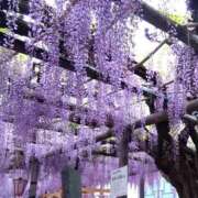 ヒメ日記 2026/05/02 22:42 投稿 ののか プロローグ-序章-浜松店