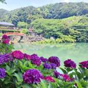 ヒメ日記 2026/06/01 19:00 投稿 ののか プロローグ-序章-浜松店