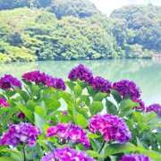 ヒメ日記 2026/06/08 21:51 投稿 ののか プロローグ-序章-浜松店