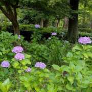 ヒメ日記 2026/06/12 16:03 投稿 ののか プロローグ-序章-浜松店