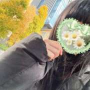 ヒメ日記 2025/11/28 07:31 投稿 もも 池袋人妻ヒットパレード（シンデレラグループ）