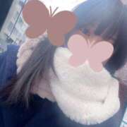 ヒメ日記 2026/02/08 11:32 投稿 もも 池袋人妻ヒットパレード（シンデレラグループ）