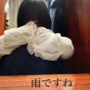 ヒメ日記 2026/03/20 07:37 投稿 もも 池袋人妻ヒットパレード（シンデレラグループ）