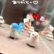 ヒメ日記 2026/03/29 19:06 投稿 もも 池袋人妻ヒットパレード（シンデレラグループ）