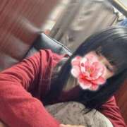 ヒメ日記 2026/04/03 11:18 投稿 もも 池袋人妻ヒットパレード（シンデレラグループ）