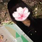 ヒメ日記 2026/04/07 08:33 投稿 もも 池袋人妻ヒットパレード（シンデレラグループ）