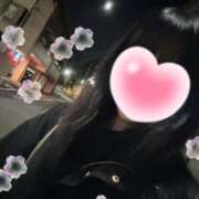 ヒメ日記 2026/04/14 07:30 投稿 もも 池袋人妻ヒットパレード（シンデレラグループ）