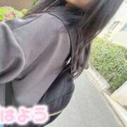 ヒメ日記 2026/04/15 08:02 投稿 もも 池袋人妻ヒットパレード（シンデレラグループ）