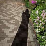 ヒメ日記 2026/04/17 21:19 投稿 もも 池袋人妻ヒットパレード（シンデレラグループ）