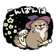 ヒメ日記 2025/11/16 18:45 投稿 ここみ プロローグ-序章-浜松店