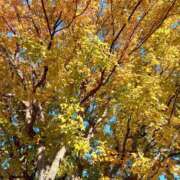 ヒメ日記 2025/11/25 12:57 投稿 ここみ プロローグ-序章-浜松店